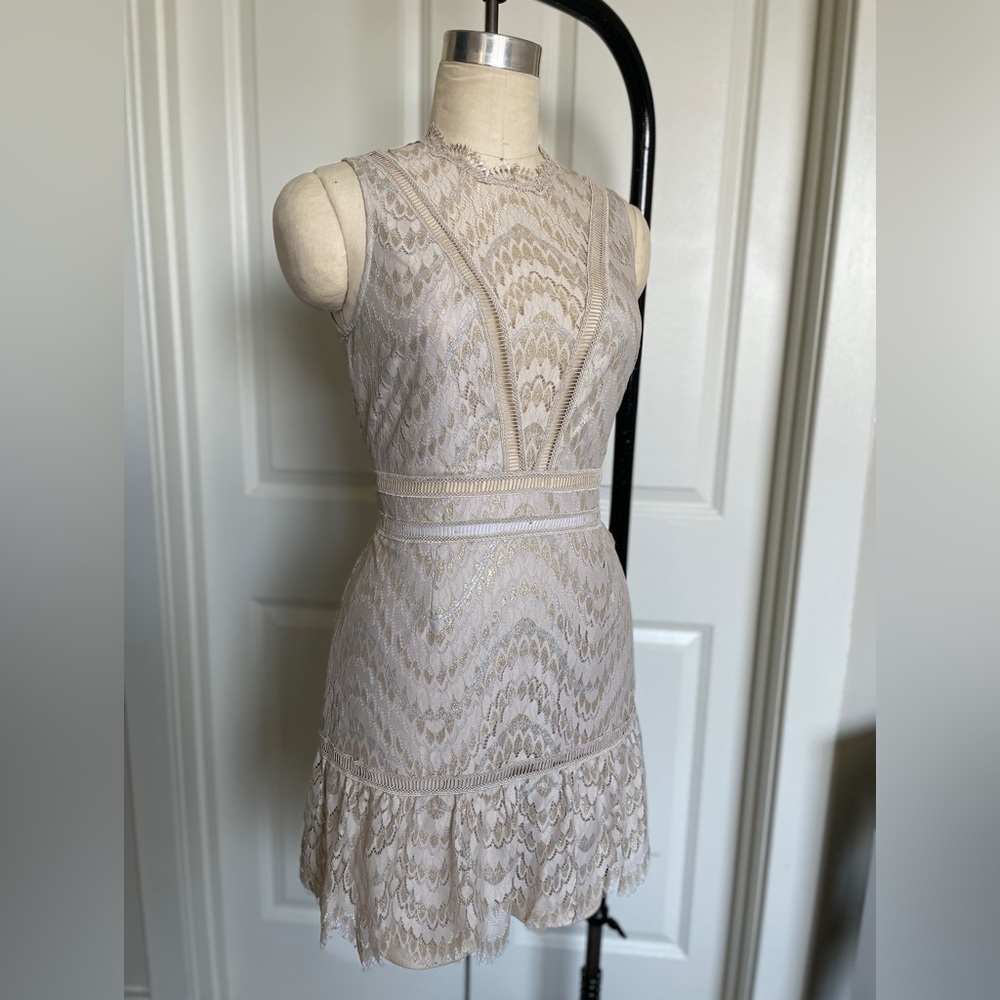 SAYLOR Rosemary Lace Open Back Cocktail Party Dress in Champagne size (M) NWT